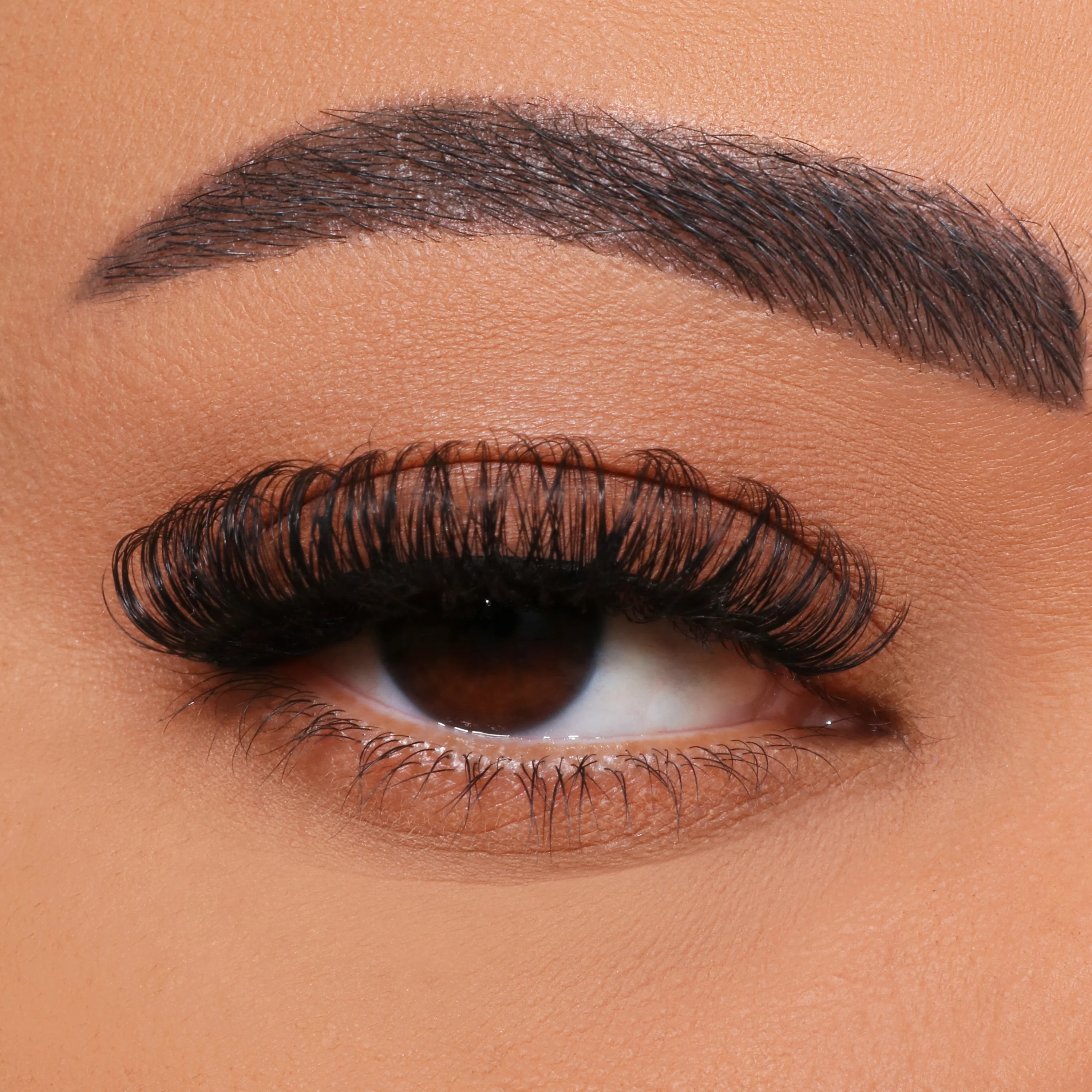 কীভাবে ডিআইওয়াই মাল্টি-ফুলের আইল্যাশ গ্রাফটিং করবেন?